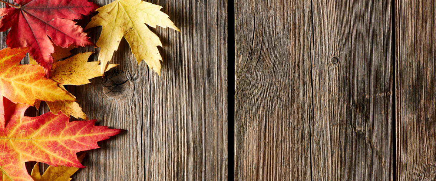 Garage Doors, Commercial Garage Door Installation & Repair Haughton